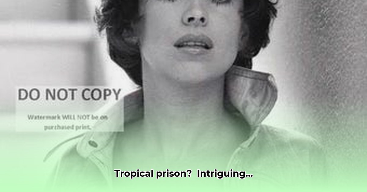 download-phyllis-davis